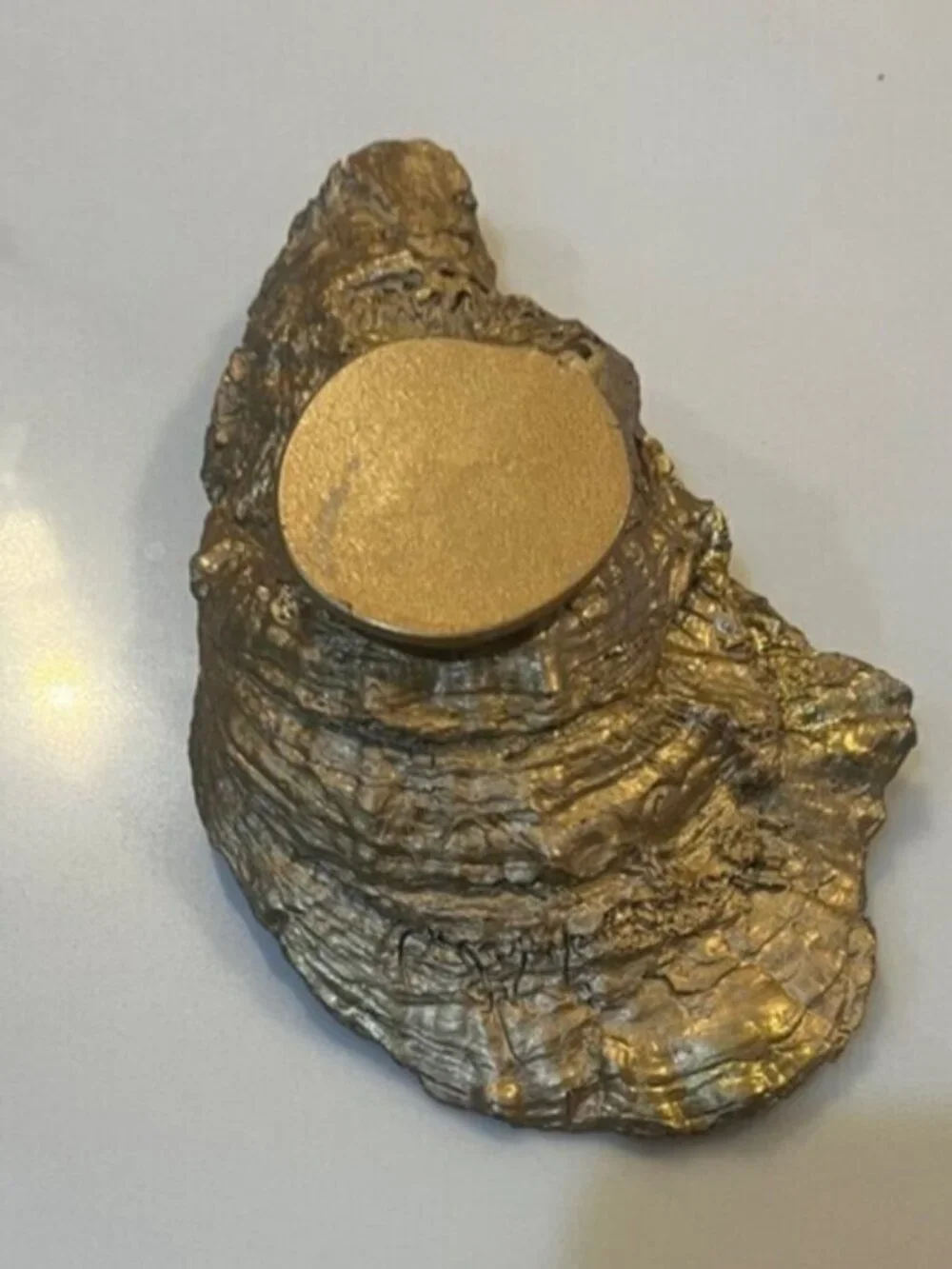 Bulldog Oyster Trinket Dish Gold Accent Jewelry Ring Holder